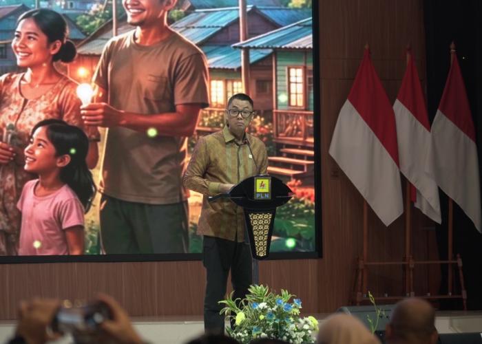 Ditjen Ketenagalistrikan Perkuat Sinergi Lintas Sektor, Percepat Program Listrik Perdesaan - Gambar 2