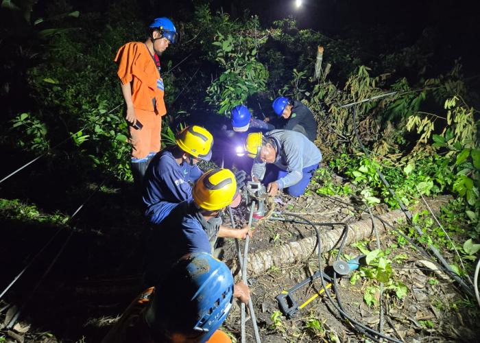 Pemulihan Kelistrikan di Aceh, Sumut, dan Sumbar Terus Meningkat per 7 Desember 2025 - Gambar 3