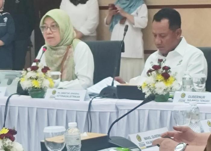 Kementerian ESDM Perkuat Sinergi Daerah untuk Percepatan Program Listrik Desa 2026  - Gambar 2