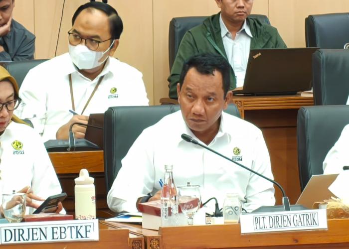 Komisi XII DPR RI Apresiasi Upaya Perluasan Akses Listrik - Gambar 2
