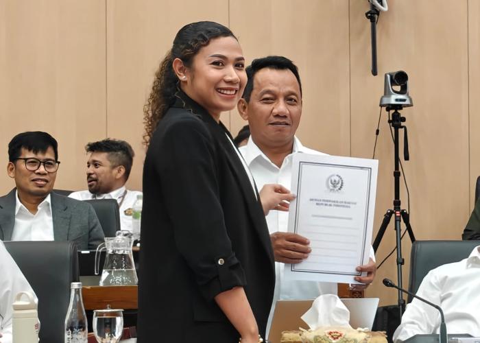 Komisi XII DPR RI Apresiasi Upaya Perluasan Akses Listrik - Gambar 1