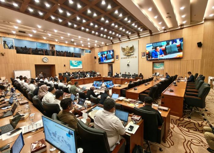 Komisi XII DPR RI Apresiasi Upaya Perluasan Akses Listrik - Gambar 3