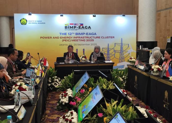 Perkuat Kerja Sama Ketenagalistrikan Subregional, Indonesia Jadi Tuan Rumah BIMP EAGA PEIC ke-12 - Gambar 2