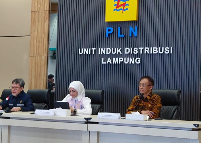 Pastikan Ramadan Idulfitri Lancar, Komisi XII DPR RI Pantau Kesiapan Kelistrikan di Tiga Lokasi - Gambar 2